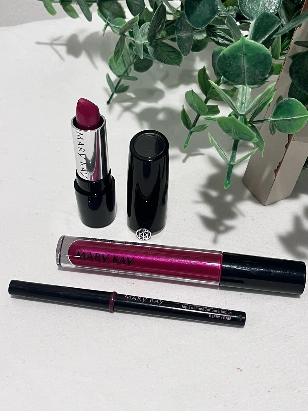 Mary Kay Lip Bundle